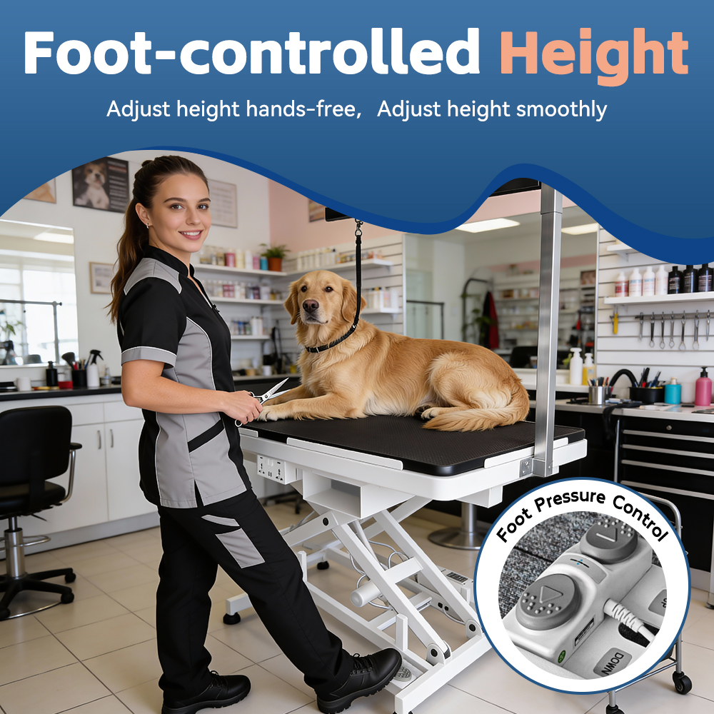 Professional Heavy Duty Adjust - مراجعة Pet X Supplies & Tack Grooming وسعره