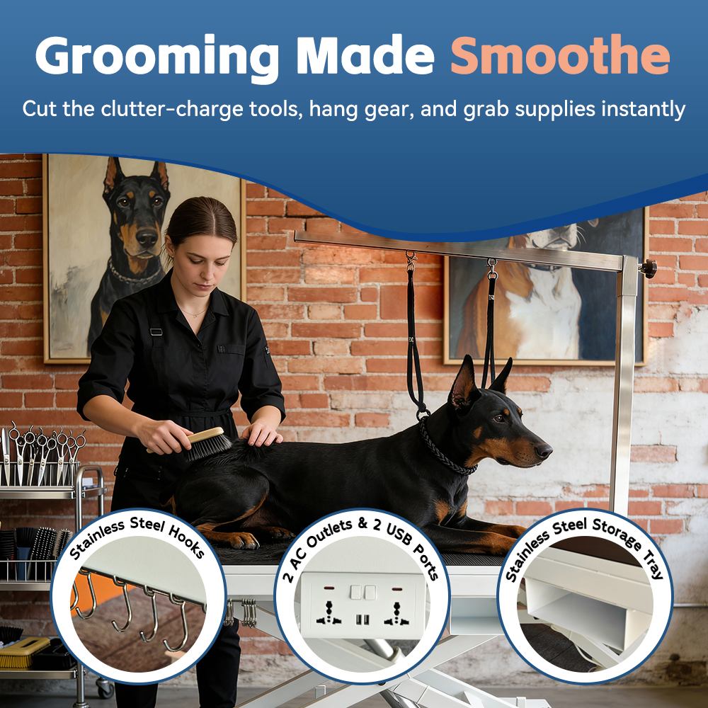 Professional Heavy Duty Adjust - مراجعة Pet X Supplies & Tack Grooming وسعره