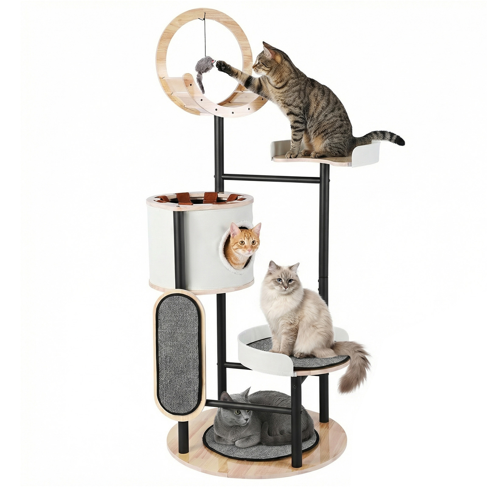66-Inch Cat Tree with Scratchi - مراجعة Pet X Supplies & Tack Grooming وسعره
