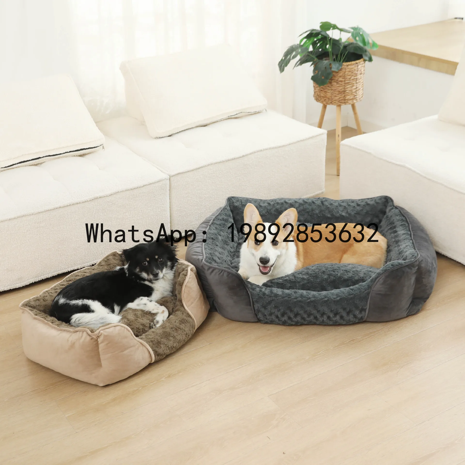 X cat house semi-enclosed dog  - مراجعة Pet X Supplies & Tack Grooming وسعره