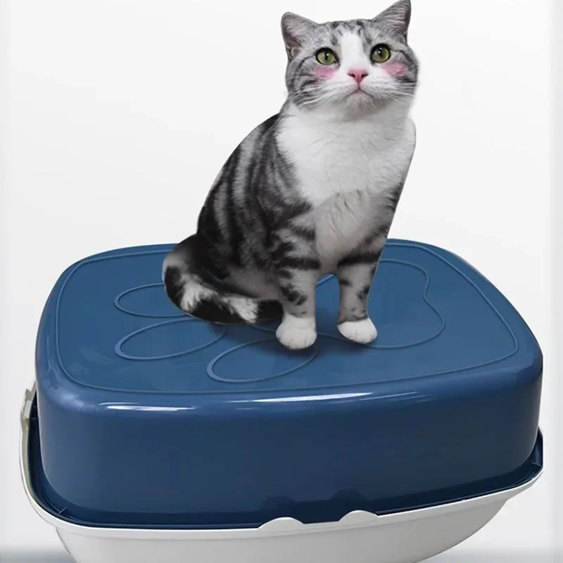 -Bed Toy Cat Litter Box Discou - مراجعة Pet Supplies Discount وسعره